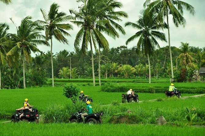 Bali ATV Ride waterfall jungle and rice fild track ubud - The 2-hour ATV ride: what the route includes and what to watch for
