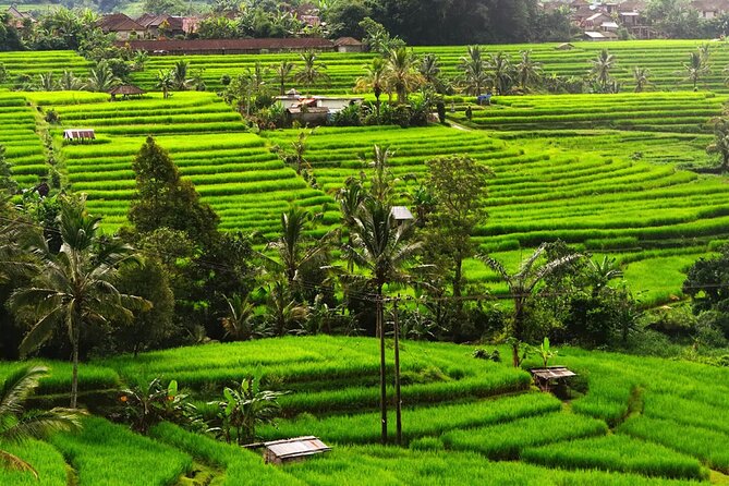 Bali: Bedugul Lake Temple, Banyumala Waterfall, UNESCO Rice Field - From Seminyak Pickup to Mountain Views That Actually Feel Different