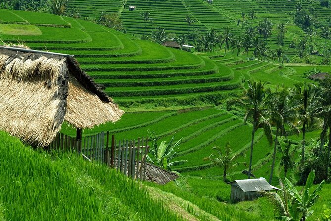 Bali: Bedugul Lake Temple, Banyumala Waterfall, UNESCO Rice Field - Banyumala Waterfall: Rain Can Turn It From Pretty to Wow