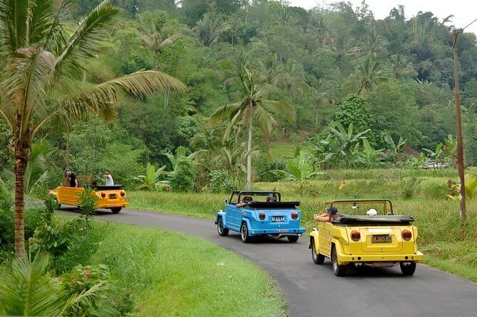 Bali: Bedugul Temple, Banyumala Waterfall, UNESCO Rice Terrace - What to expect at each stop, realistically