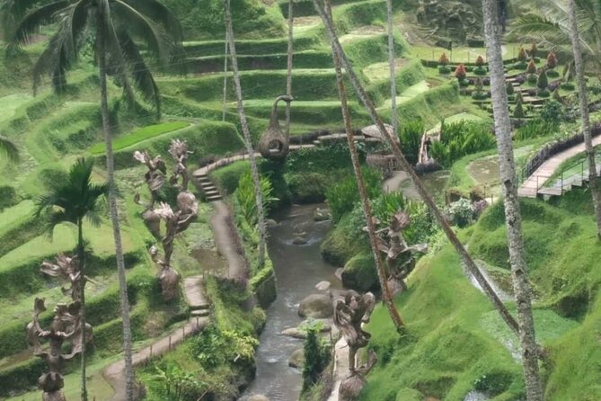 Bali Benoa Shore Excursion for cruise's passenger - All Inclusive - Tegalalang Rice Terraces, subak irrigation views and quick cultural context