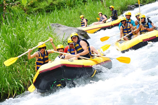 Bali Best-Activities: Telaga Waja Rafting Adventure - Key highlights worth knowing before you go
