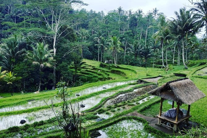 Bali: Best Eastern Waterfalls with Private Bali Tours - Tukad Cepung Waterfall: The Cave-Lit Photo Stop