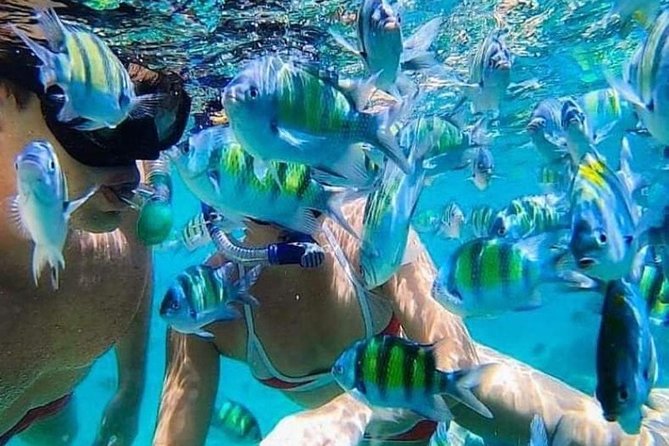 Bali Best Snorkeling at Blue Lagoon - Key highlights worth knowing