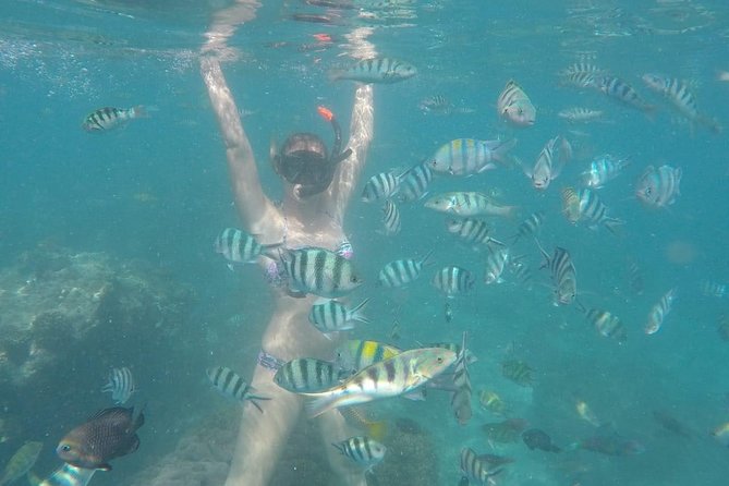 Bali Best Snorkeling at Blue Lagoon - Price and logistics: is $29.99 good value in Bali?