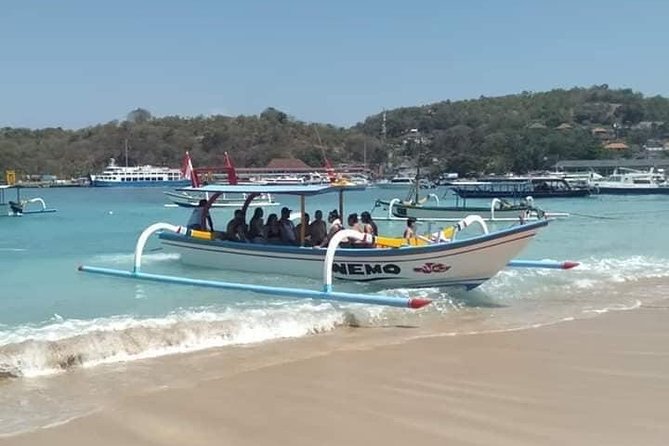 Bali Best Snorkeling at Blue Lagoon - Who this snorkeling day is best for