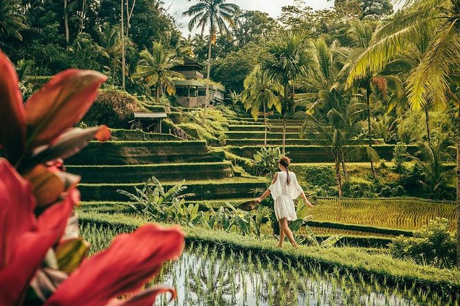 Bali BEST Things to Do Private Full-day Tour from Your Hotel - Bali Private Full-Day Tour, what you are really buying