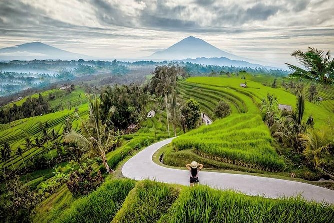 Bali BEST Things to Do Private Full-day Tour from Your Hotel - Ubud core, Tegalalang rice terraces, Monkey Forest, and the art market