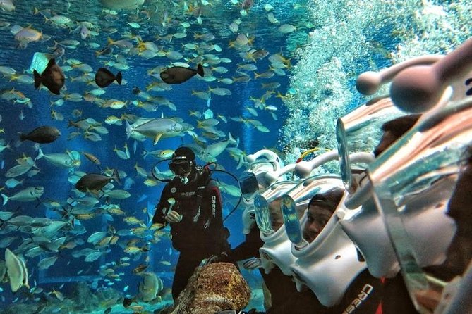 Bali Best Watersport Sea walker,Parasailing adventure,Jet sky - Price and value: why three watersports can be worth $102.57