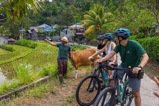 Bali Bike Tour Ubud Area - The Guide Makes or Breaks the Day