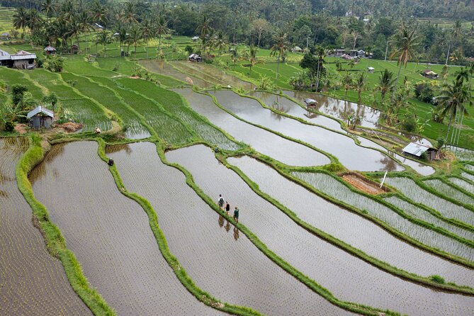 Bali Bike Tour Ubud Area - Who Should Book This Ubud Bike Tour (and Who Might Not)