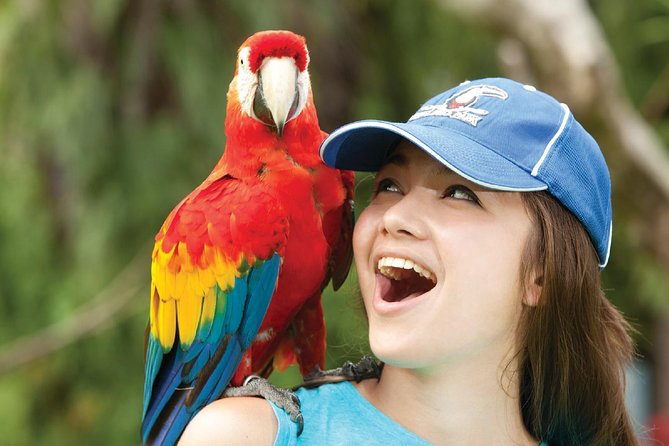 Bali Bird Park Admission Ticket - Bali Bird Park Admission for $18.82: Is it worth the price?