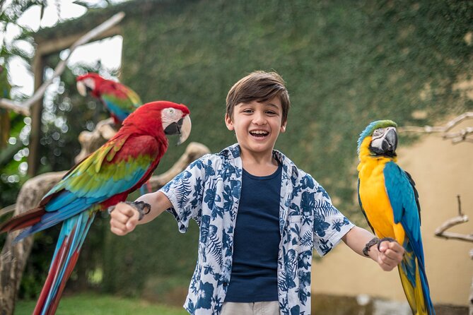 Bali Bird Park Admission Ticket - Flight shows with two daily time slots: Free Flight and Bird of Prey