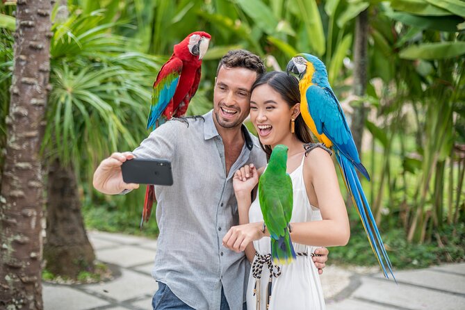 Bali Bird Park Admission Ticket - The 4D movie, plus where to spend time during your 3-hour loop