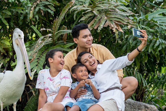 Bali Bird Park Admission Ticket - Food, photos, and comfort: how to make the day easy