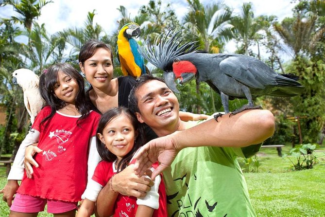 Bali Bird Park Admission Ticket with Hotel Transfer - Bali Bird Park: more than a stop, a bird-spotting day in Ubud