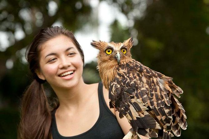 Bali Bird Park Admission Ticket with Hotel Transfer - How Long Should You Go? 1 to 6 hours, but most people need 3 to 4