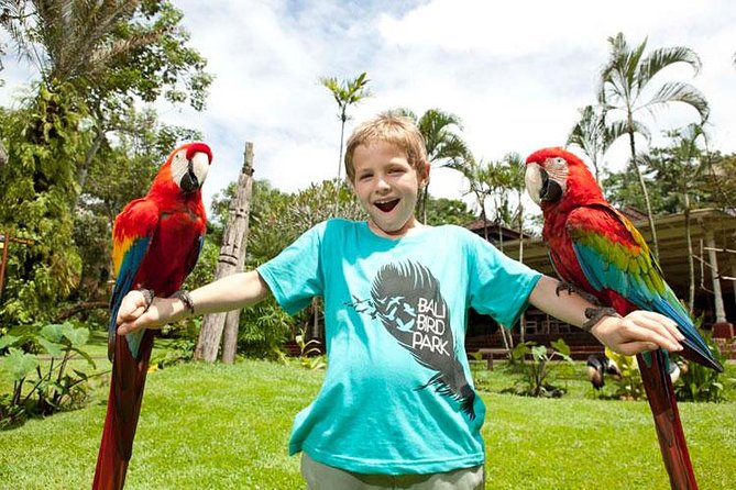 Bali Bird Park Admission Ticket with Hotel Transfer - All Bird Shows Included: plan your walk around seating times