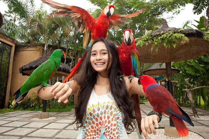 Bali Bird Park Admission Ticket with Hotel Transfer - For Families: a nature day that works with kids