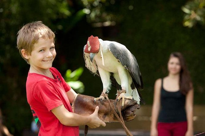 Bali Bird Park Admission Ticket with Hotel Transfer - The Private Hotel Transfer: how you buy back your day