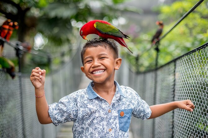 Bali Bird Park Admission Ticket - Timing Your Visit: Use the 9am to 5pm window (and the showtimes)