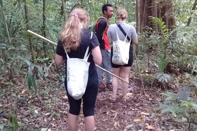 Bali Blue Lagoon Snorkeling and Waterfall Day Tour with Lunch - Lunch in Indonesian Style: Why a Sit-Down Meal Adds Real Value