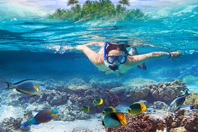 Bali Blue Lagoon Snorkeling Experience - Price and logistics: what $49.09 gets you, and where you can feel it
