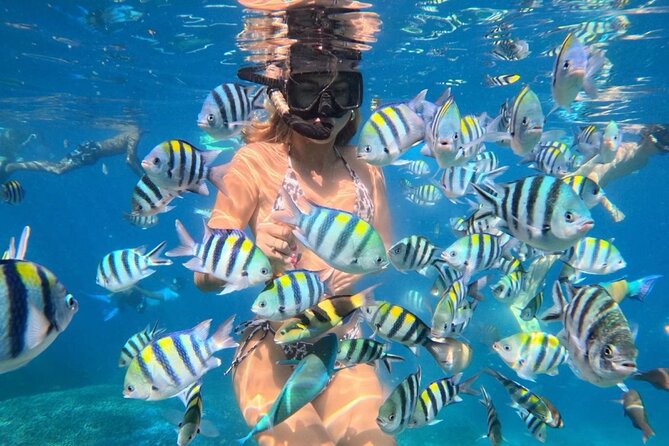 Bali Blue Lagoon Snorkeling - Lunch and Transport All Inclusive - Key things I’d bank on before you go