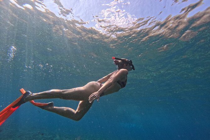 Bali Blue Lagoon Snorkeling - Lunch and Transport All Inclusive - The coffee plantation stop: what the lesson adds to your day