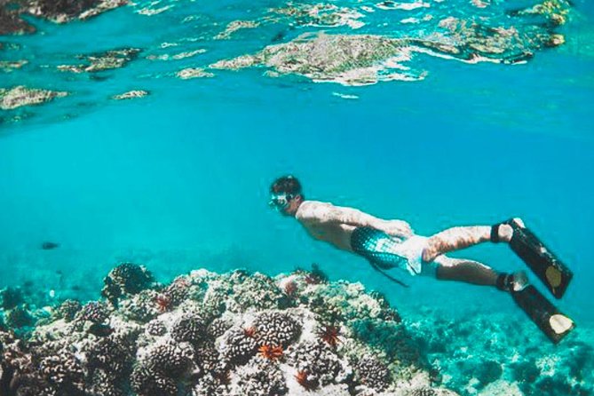 Bali Blue Lagoon Snorkeling - Lunch and Transport All Inclusive - What to bring, what to wear, and small comfort wins