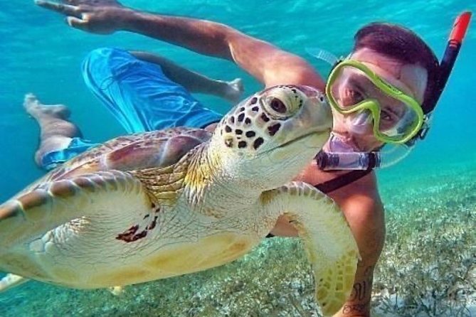 Bali Blue Lagoon Snorkeling - Lunch and Transport All Inclusive - Should you book the Bali Blue Lagoon snorkeling and Lempuyang Temple day?