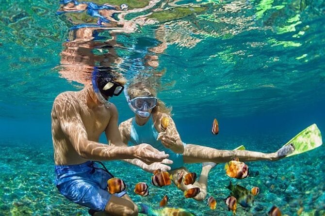 Bali Blue Lagoon Snorkeling - Lunch and Transport All Inclusive - Snorkeling at Blue Lagoon Beach and Tanjung Jepun: what to expect in the water