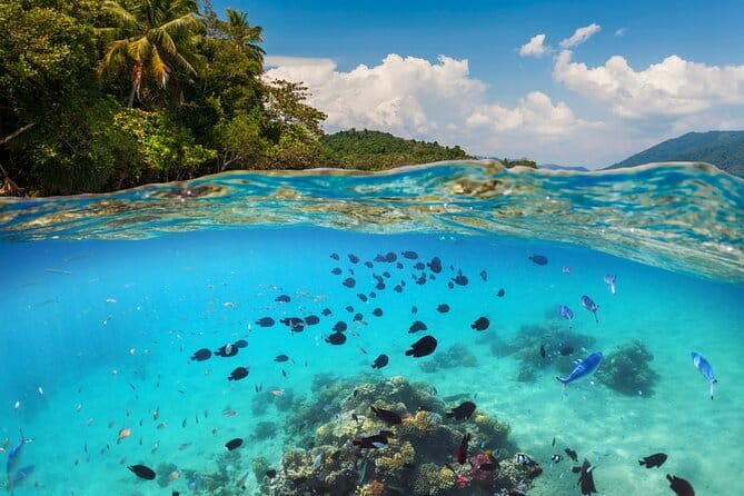 Bali Blue Lagoon Snorkeling Tour All Inclusive - Blue Lagoon Snorkeling: Coral, Fish, and the Turtle Odds