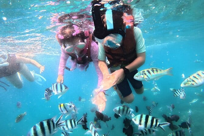 Bali Blue Lagoon Snorkeling Tour All Inclusive - Lunch After Snorkeling: A Simple Win