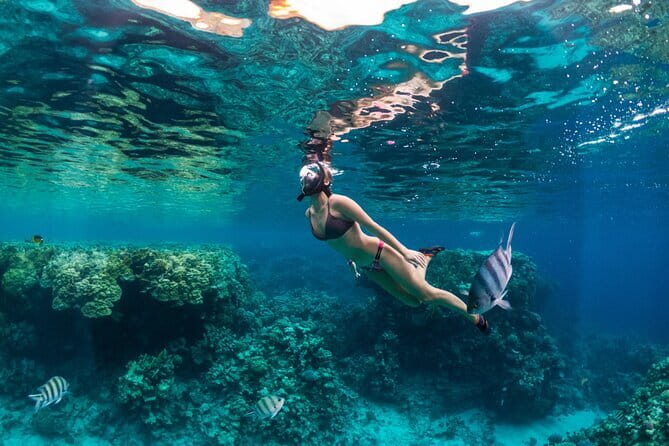 Bali Blue Lagoon Snorkeling Tour All Inclusive - Tanjung Jepun: The Calmer Second Stop That Helps You Breathe