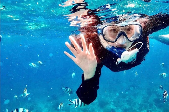 Bali Blue Lagoon Snorkeling with Optional Tour & Activities - The Marine Life Checklist You Can Use During Snorkeling