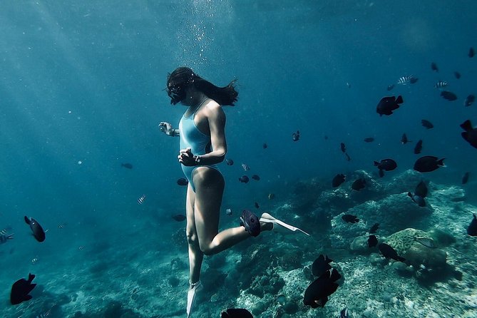 Bali Blue Lagoon Snorkeling with Optional Tour & Activities - What Actually Happens Underwater: Coral, Fish, and Practical Safety