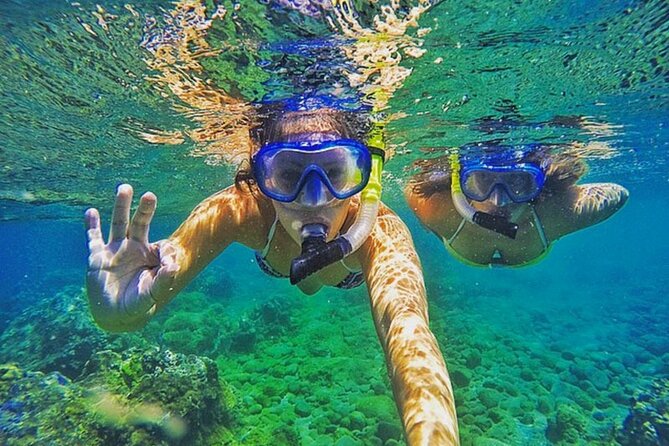 Bali Blue Lagoon Snorkeling with Private Transfer & Lunch - Who this snorkeling day fits best (and who should reconsider)