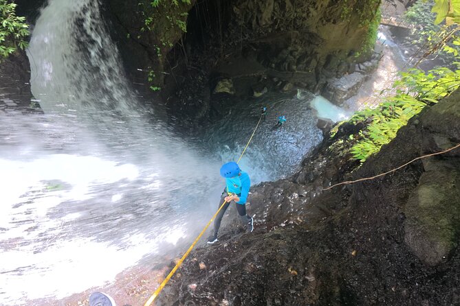 Bali Canyoning Trip – Explore Hidden Waterfalls & Gorges - Key Highlights I’d Prioritize