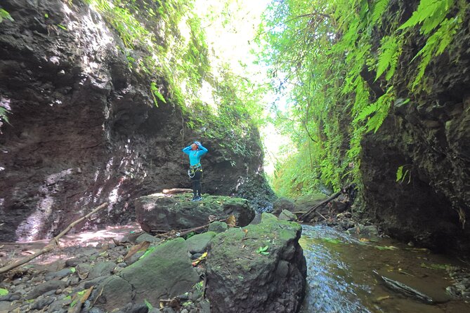 Bali Canyoning Trip – Explore Hidden Waterfalls & Gorges - Morning Setup Near Gitgit Subak Temple
