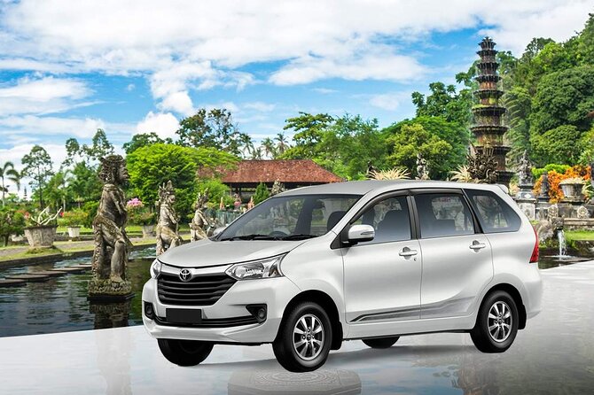 Bali Car Hire with Driver - Ubud Stops: Culture, Views, and the Photo Stops You’ll Want