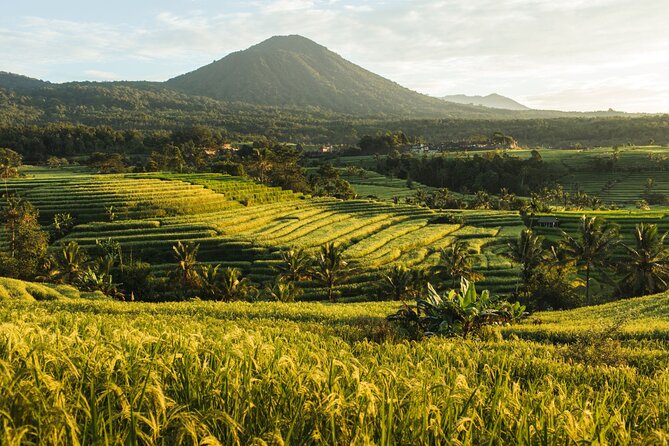 Bali Charm: Full-Day Bedugul and Tanah Lot Tour (UNESCO) - All Inclusive Tickets - Ulun Danu Beratan: Lake Beratan water temple photos