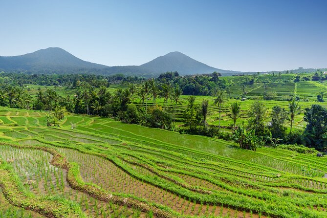 Bali Charm: Full-Day Bedugul and Tanah Lot Tour (UNESCO) - All Inclusive Tickets - Optional add-ons when you still have time