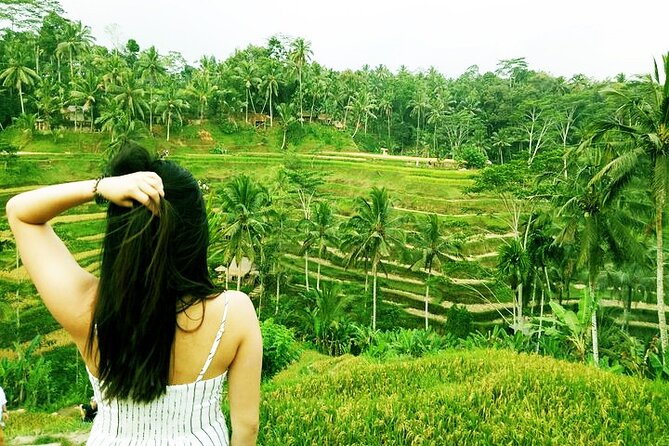 Bali Cooking Class and Ubud Sightseeing Tour - Sacred Monkey Forest Sanctuary: A Wildlife Stop With Real-World Caution
