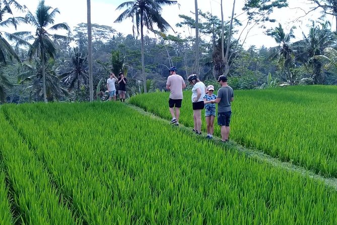 Bali Countryside Cycling Adventure - Key things to know before you pedal in Bali