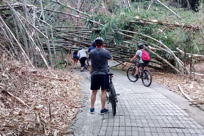 Bali Countryside Cycling Adventure - Stop 4: Penglipuran Village, a traditional Balinese living layout