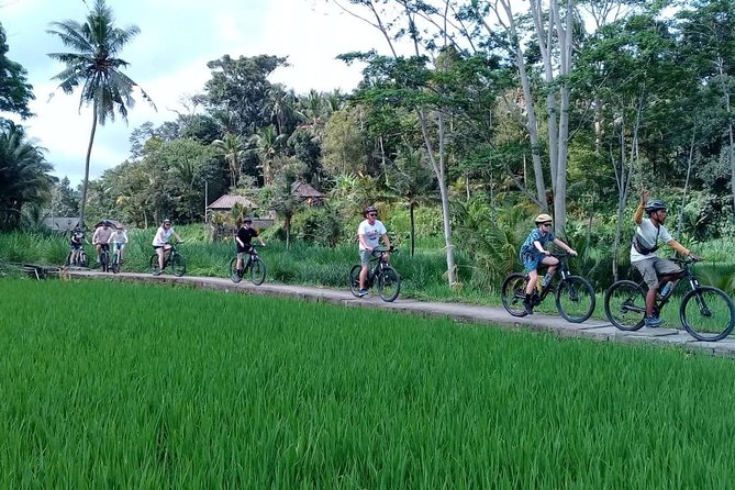 Bali Countryside Cycling Adventure - Bangli town drive-by, and why passing markets can still count