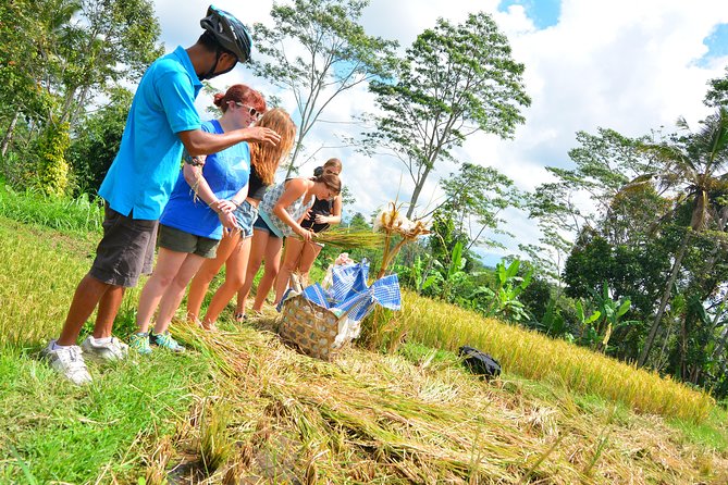 Bali Countryside Cycling Tours - Pakudui Village and the art museum breather