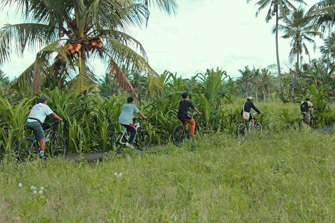 Bali Countryside Eco Cycling Tour include Lunch - Key Points Before You Go