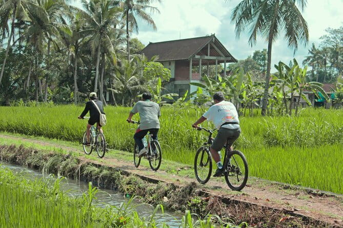 Bali Countryside Eco Cycling Tour include Lunch - Bali Countryside Eco Cycling: What You’re Really Buying for $78.21